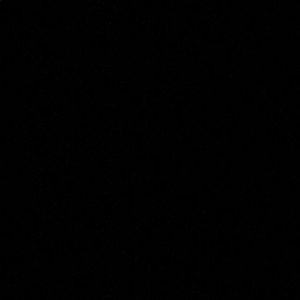 Meet your Posher, Dorothy